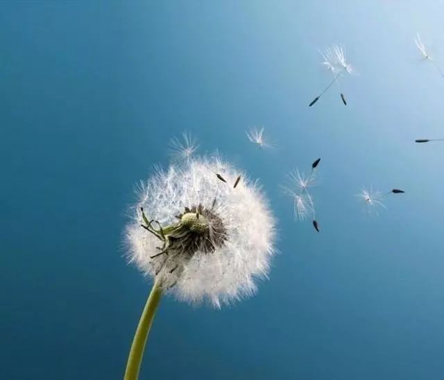 人生和电影一样都是以余味为标准,人生与电影一样都是以余味定输赢