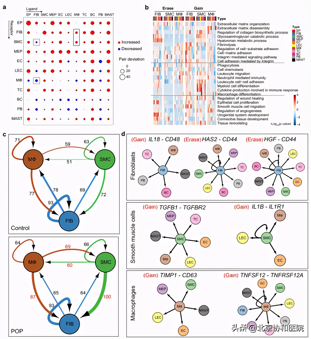 北京协和医院妇科朱兰视频,北京协和医院妇科专家朱兰