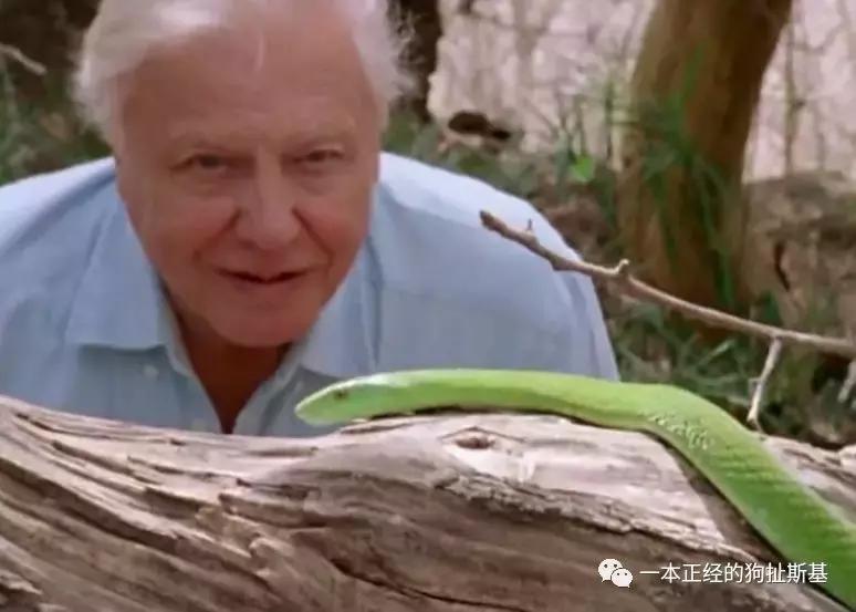 大卫爱登堡致辞,大卫爱登堡国语版