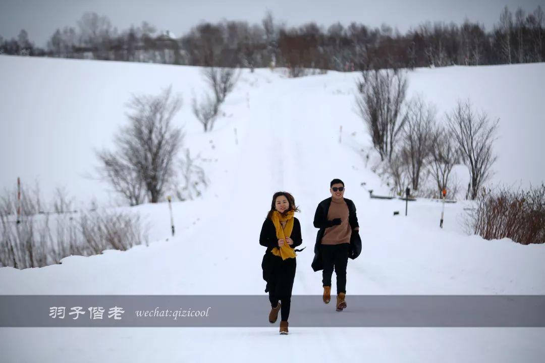 不会日语日本自由行好吗,不会日语的北海道自由行攻略