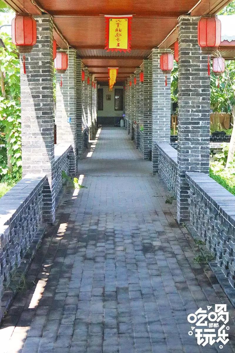 秋冬来袭!来碗养生汤!吃着鸽子喝着汤!请客有面子就到鸽子王