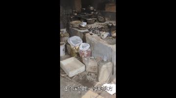 上海猫贩子扔出几十只病重品种猫,上海后院猫舍丢弃50多只病猫