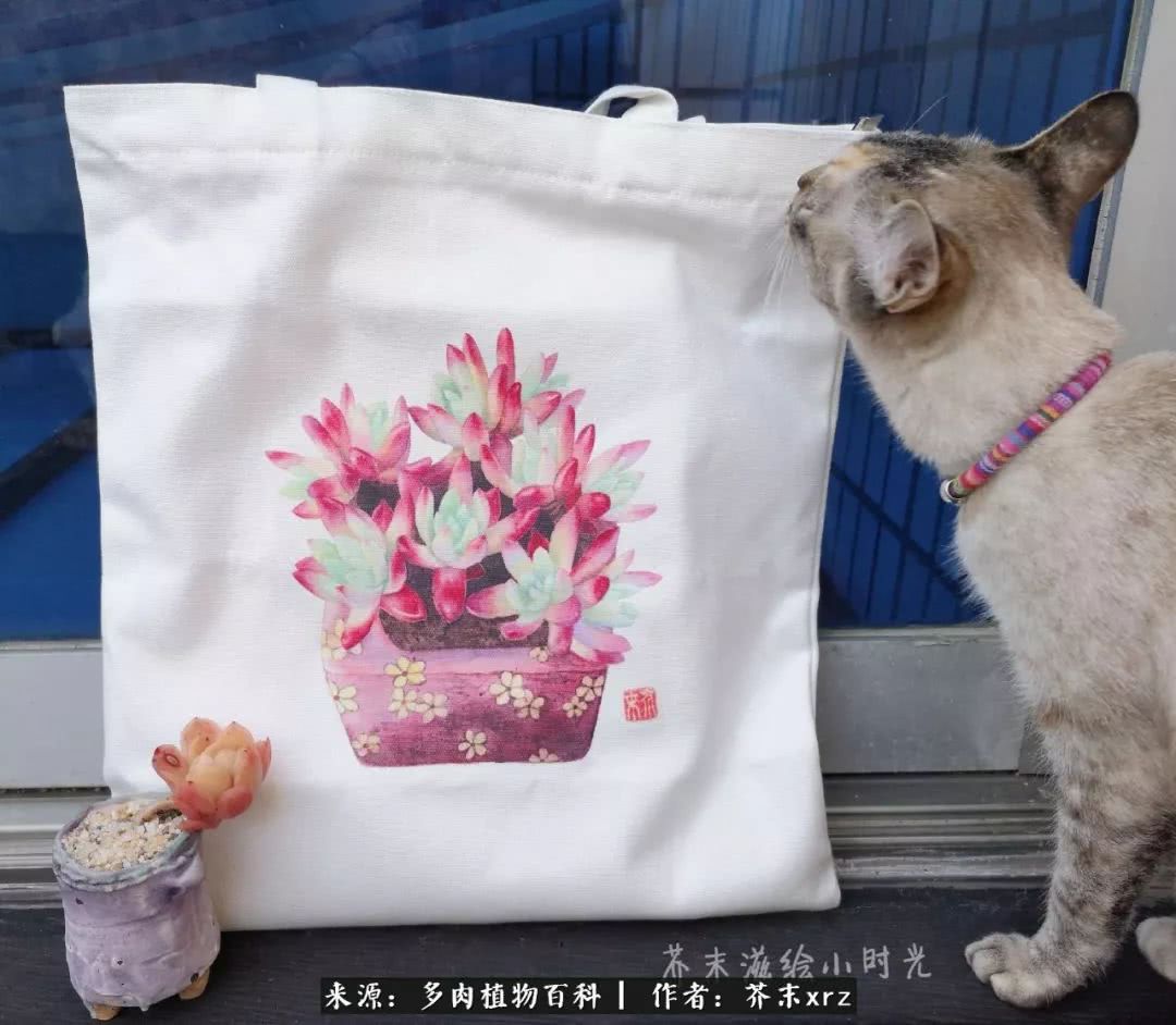 那个爱画多肉的小姑娘带着她的心头肉又来啦!