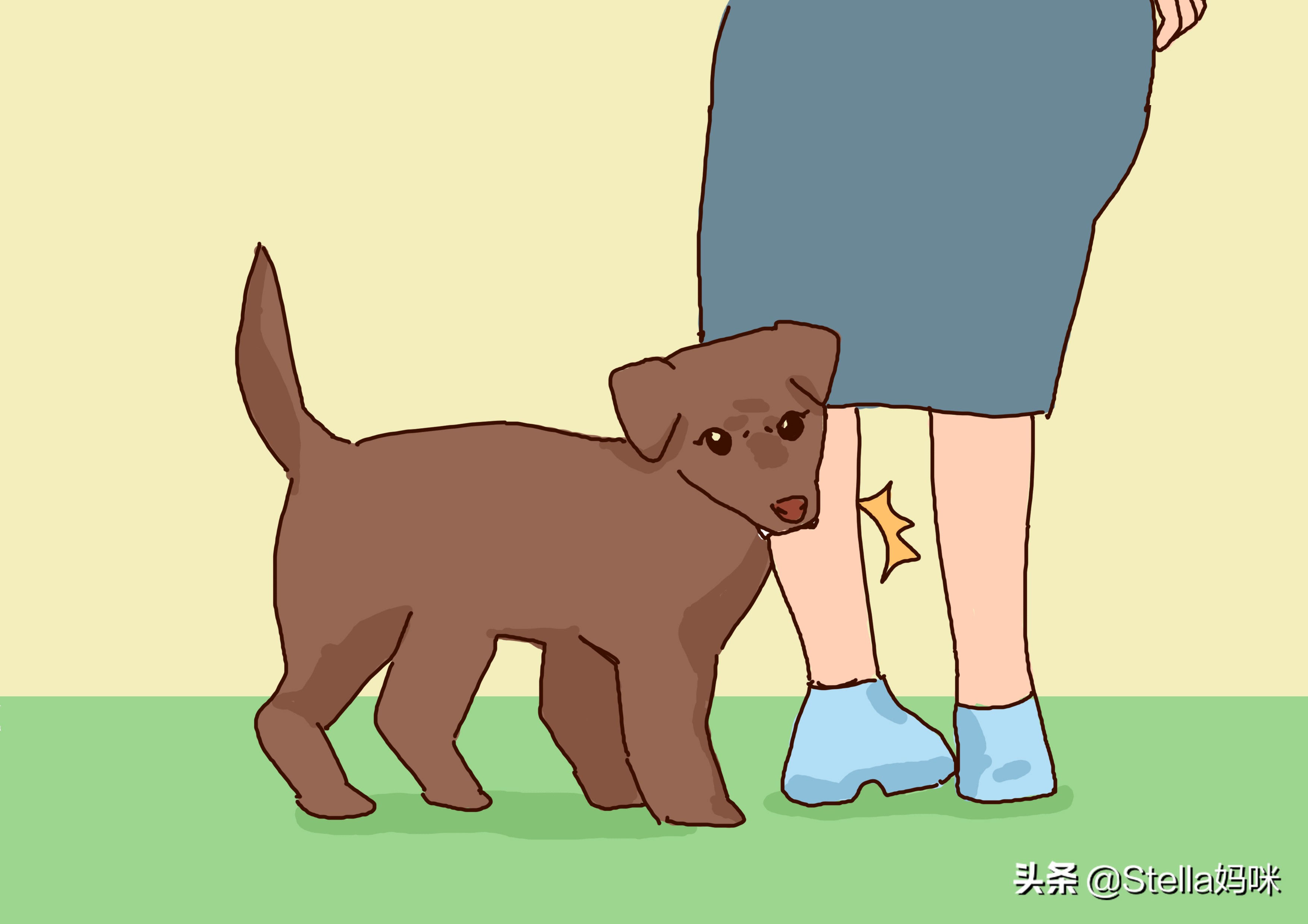 怀孕被狗咬了怎么办电视剧,怀孕被狗咬了怎么赔偿