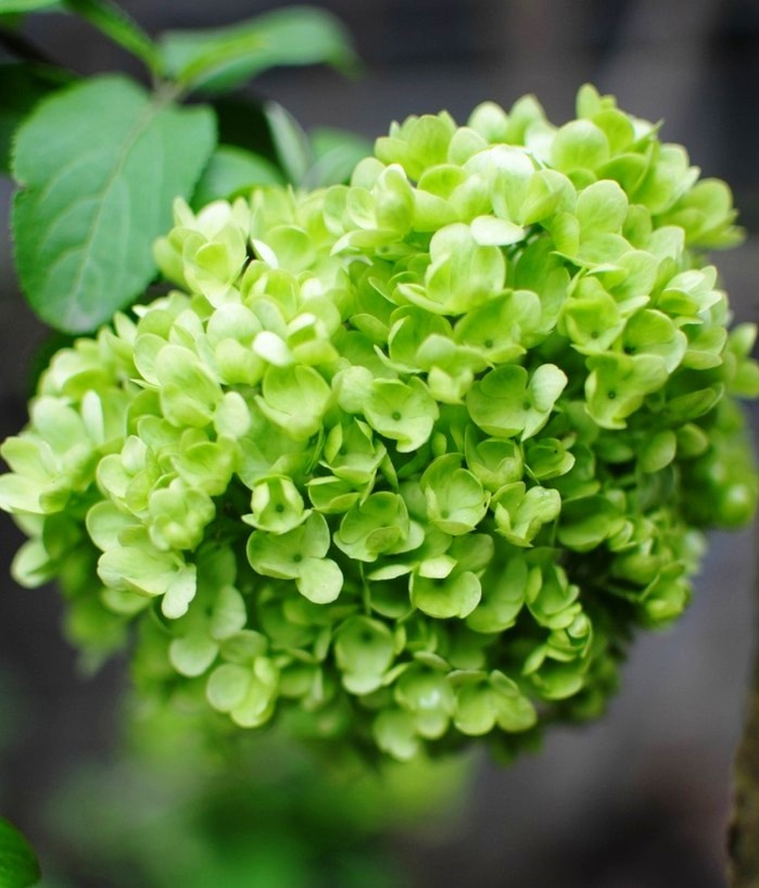 心灵鸡汤经典语录简短一句话,经典走心的心灵鸡汤语录句句精辟