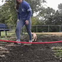 史上最惨网恋奔现真实视频,史上最惨网恋奔现男生版