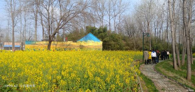 亳州头条新闻今日,亳州新闻最新今日