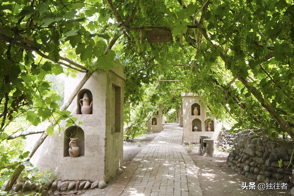 新疆吐鲁番葡萄沟葡萄视频,吐鲁番葡萄沟的葡萄