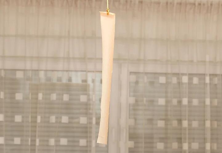 怎么驱赶苍蝇最有效不用灭蝇神器,自制捕蝇器苍蝇如何清理