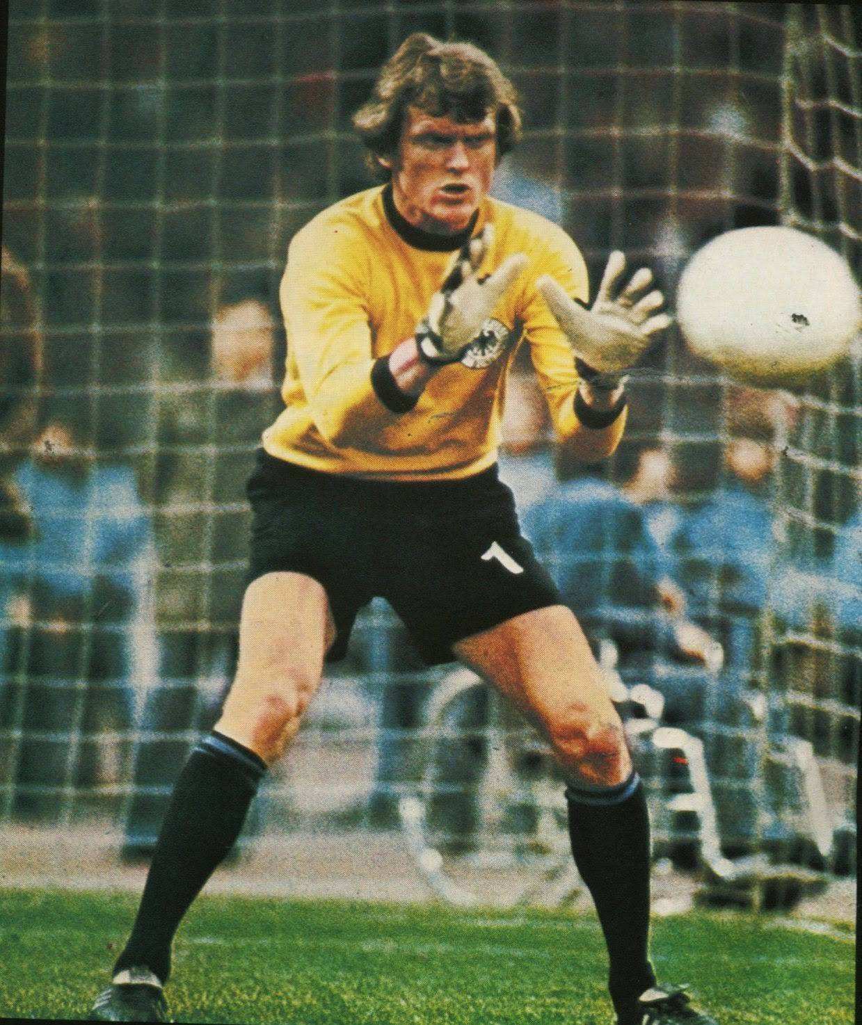 金球奖最佳十一人门将,浅析金球奖最佳十一人