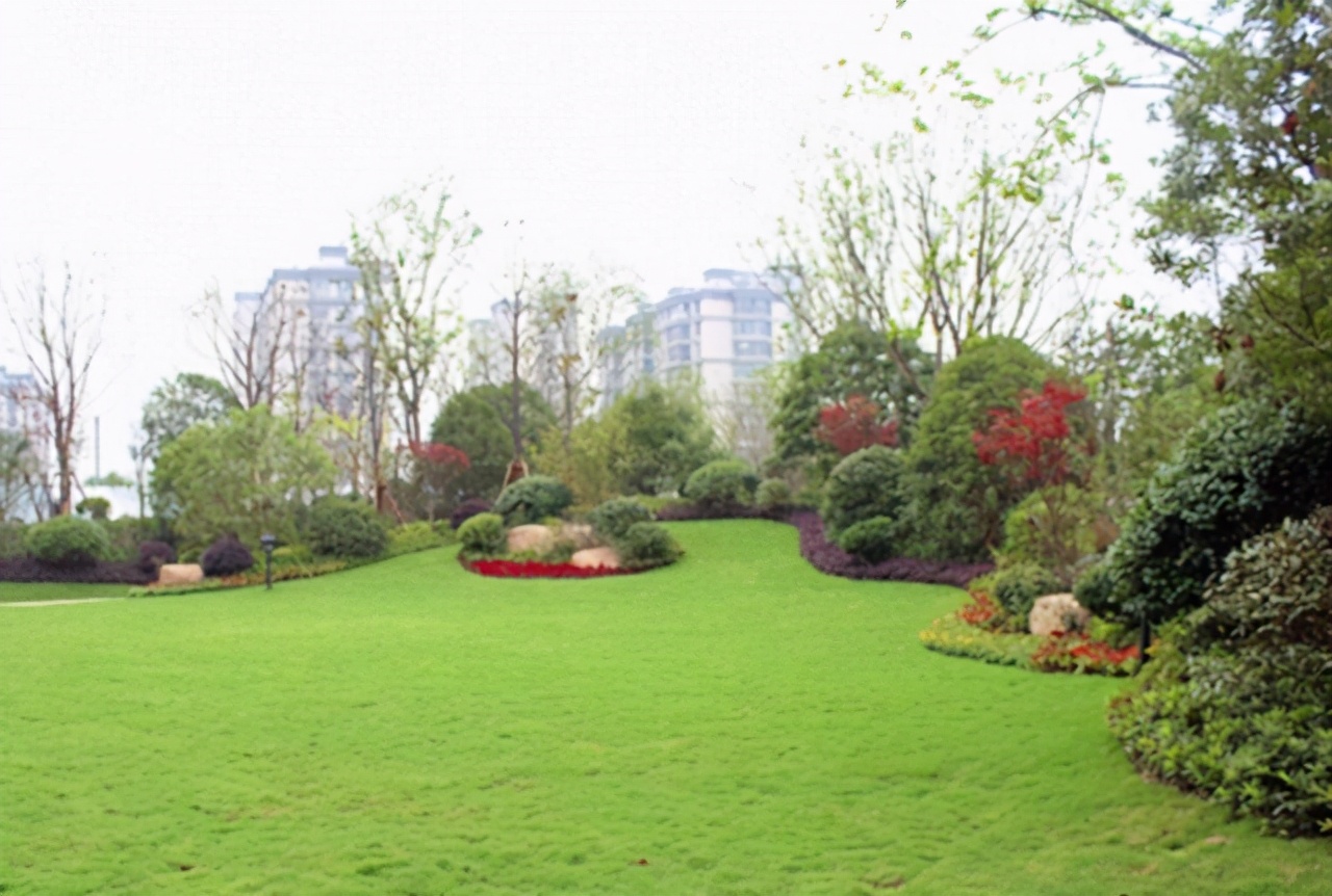 规划当中宗地调整是需要什么流程,地块规划设计条件指的是什么