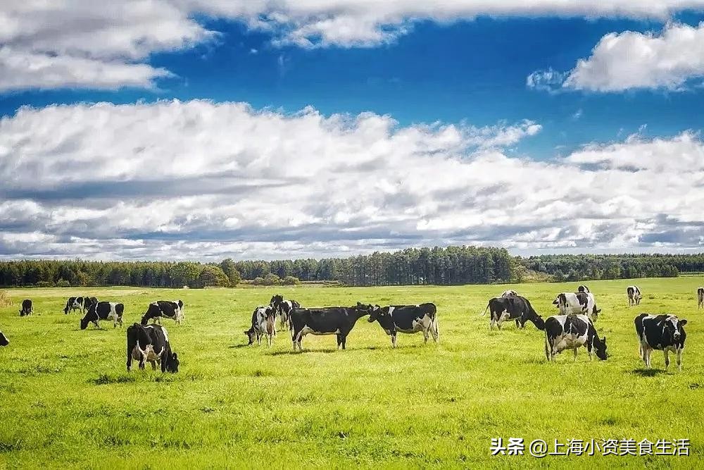 澶ч檰棣栧簵,澶ч檰棣栧簵鍏ラ┗涓婃捣