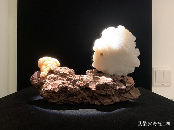 濂囩煶姹熸箹璧忕煶,濂囩煶姹熸箹鐩涗笘璧忕煶鍥剧墖