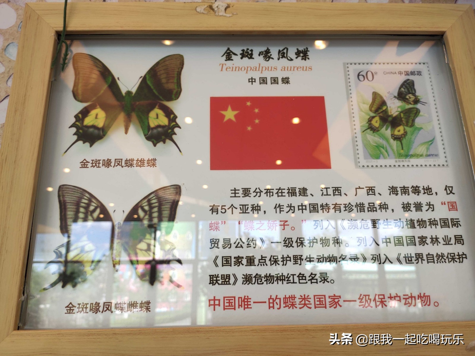 沈阳可以探险的地方,沈阳亲子游丛林探险