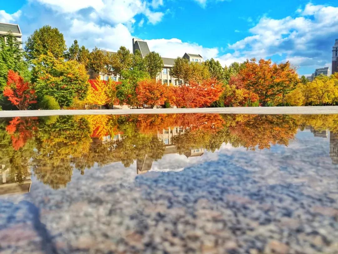辽宁大连民办大学,大连辽宁二本大学
