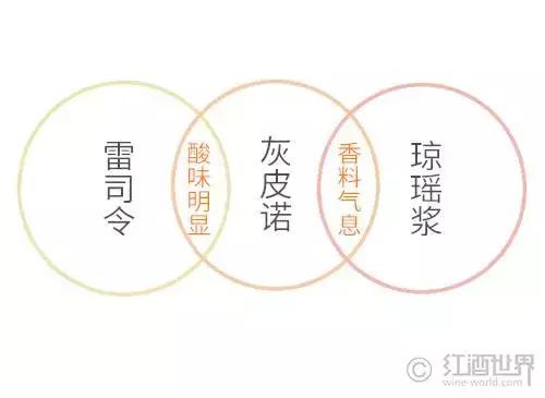 灰皮诺：馥郁矜持，爽脆怡人