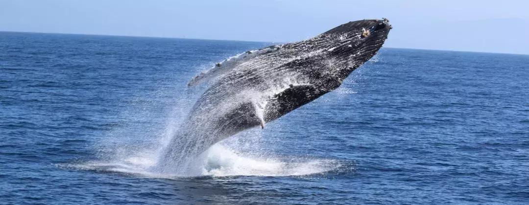 斯里兰卡的风景,风景优美而且物价便宜