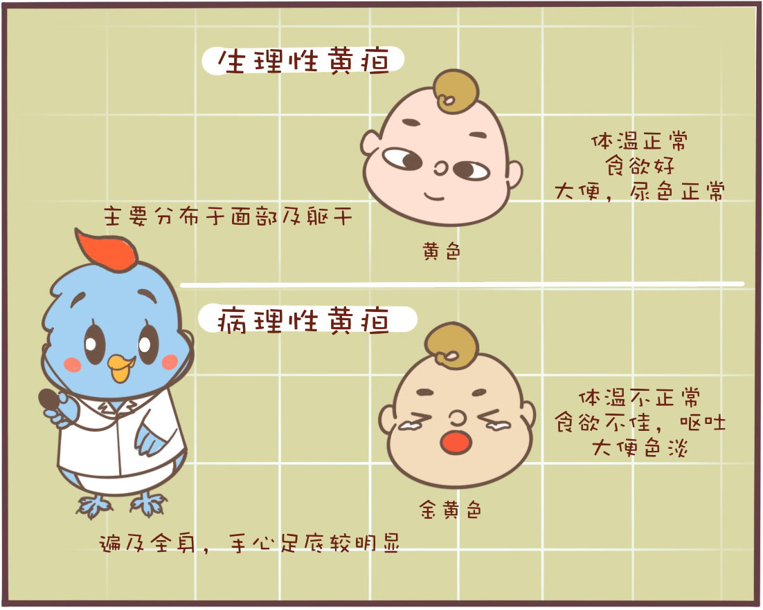 黄疸18不照黄疸晒太阳可以吗,急性黄疸肝炎晒太阳能退黄疸吗