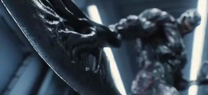 被吹爆的《毒液》，原来挺催眠的！