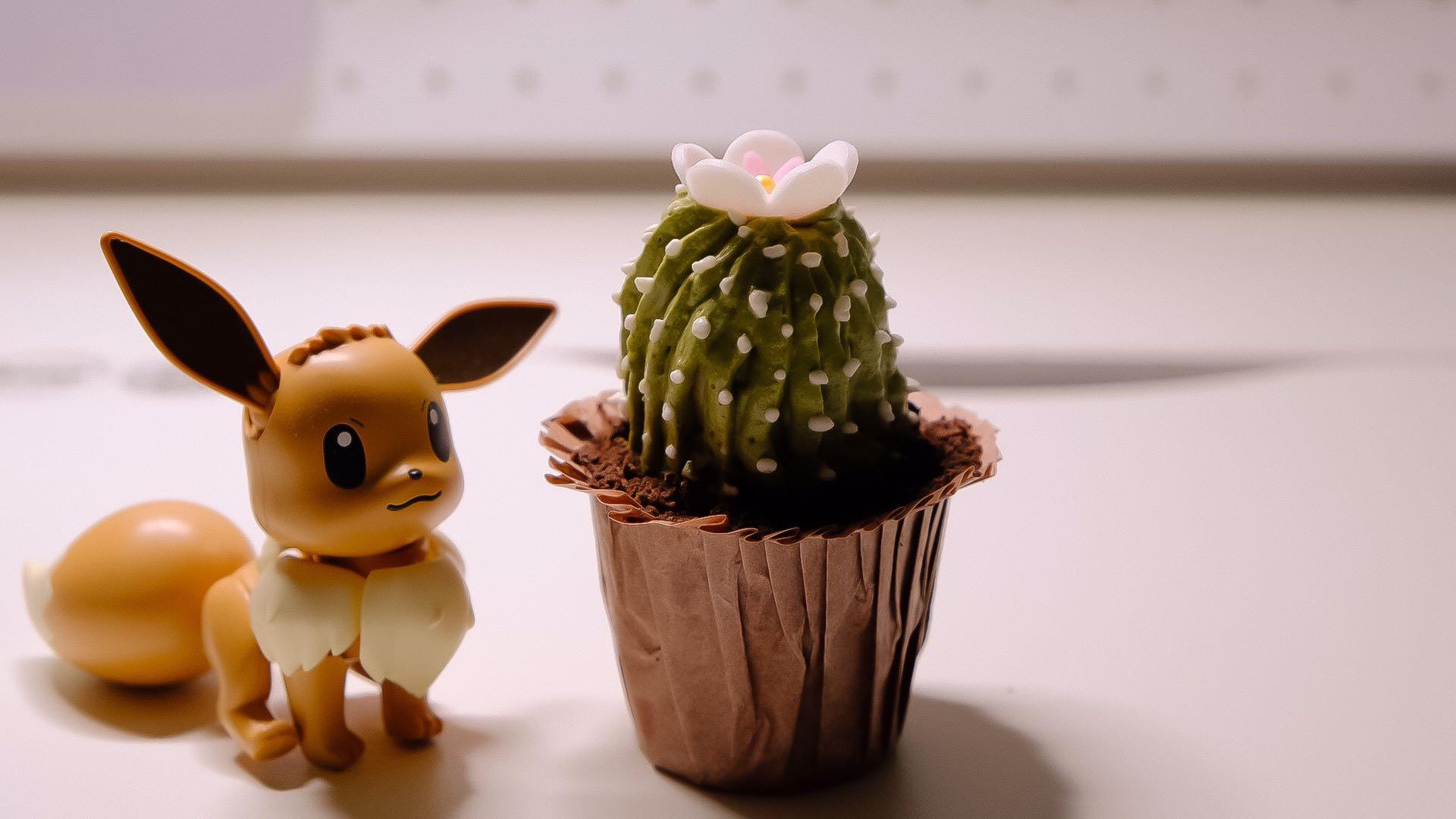 零基础的最新裱花教程你学会了吗,学习裱花速成的办法