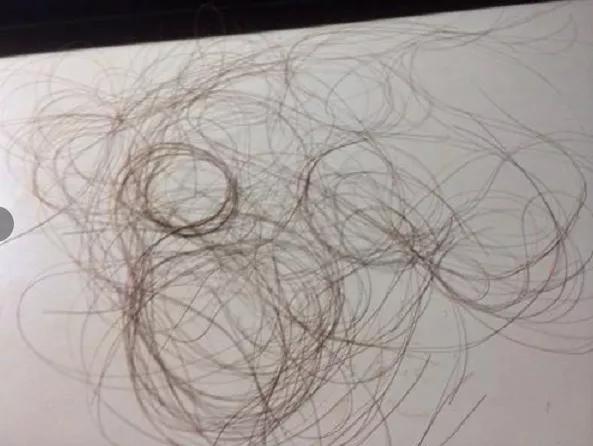 清除家里毛絮的小妙招,打扫卫生家里很多毛毛怎么办