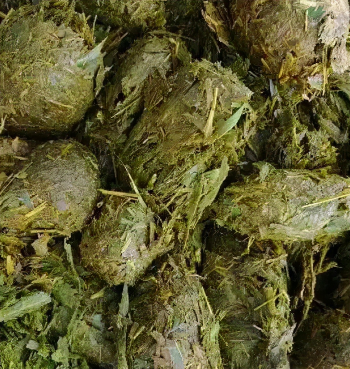 孟非:猫的屎放在咖啡里还能喝。“猫屎咖啡”真是猫咪拉的臭臭?