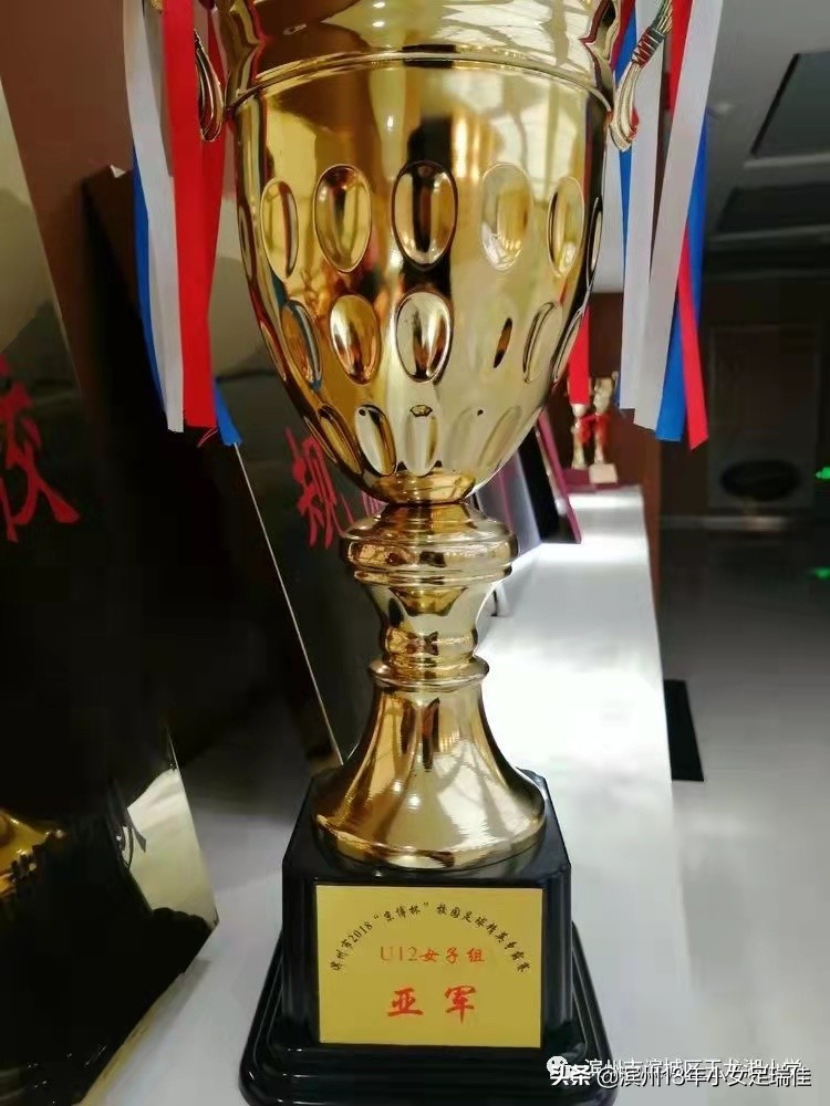 青少年足球联赛侧记,玉龙湖小学体育