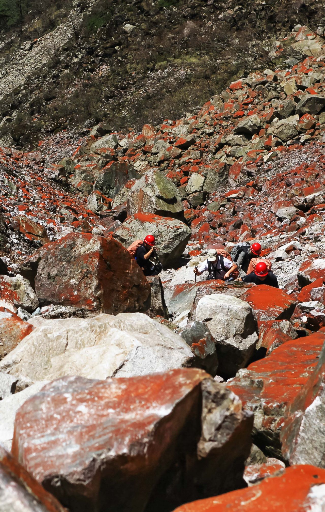 从高山之巅到深海之渊,流石滩徒步攻略
