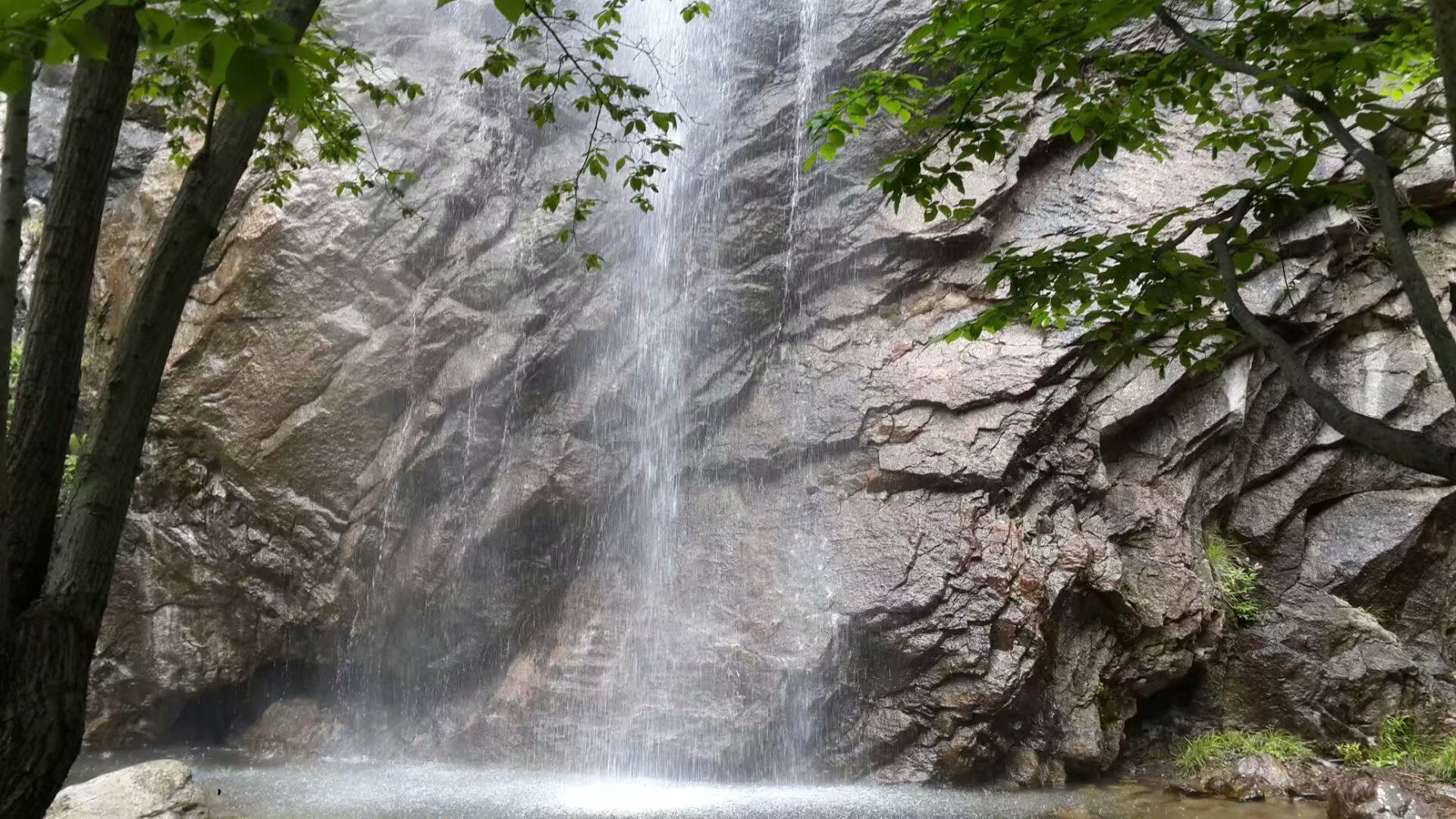 栾川养子沟破产后收门票吗,旅游景点推荐洛阳栾川养子沟