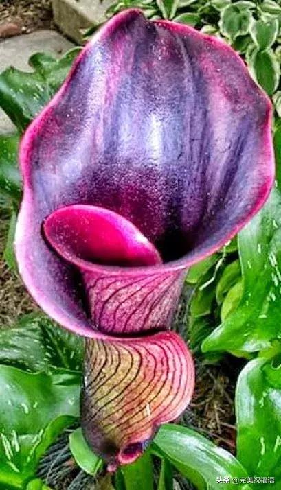 六一相册影集,六一照片专场