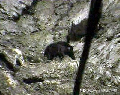 天下极境08：洞穴幽深，孰料别有洞天。万物生长靠太阳？未必