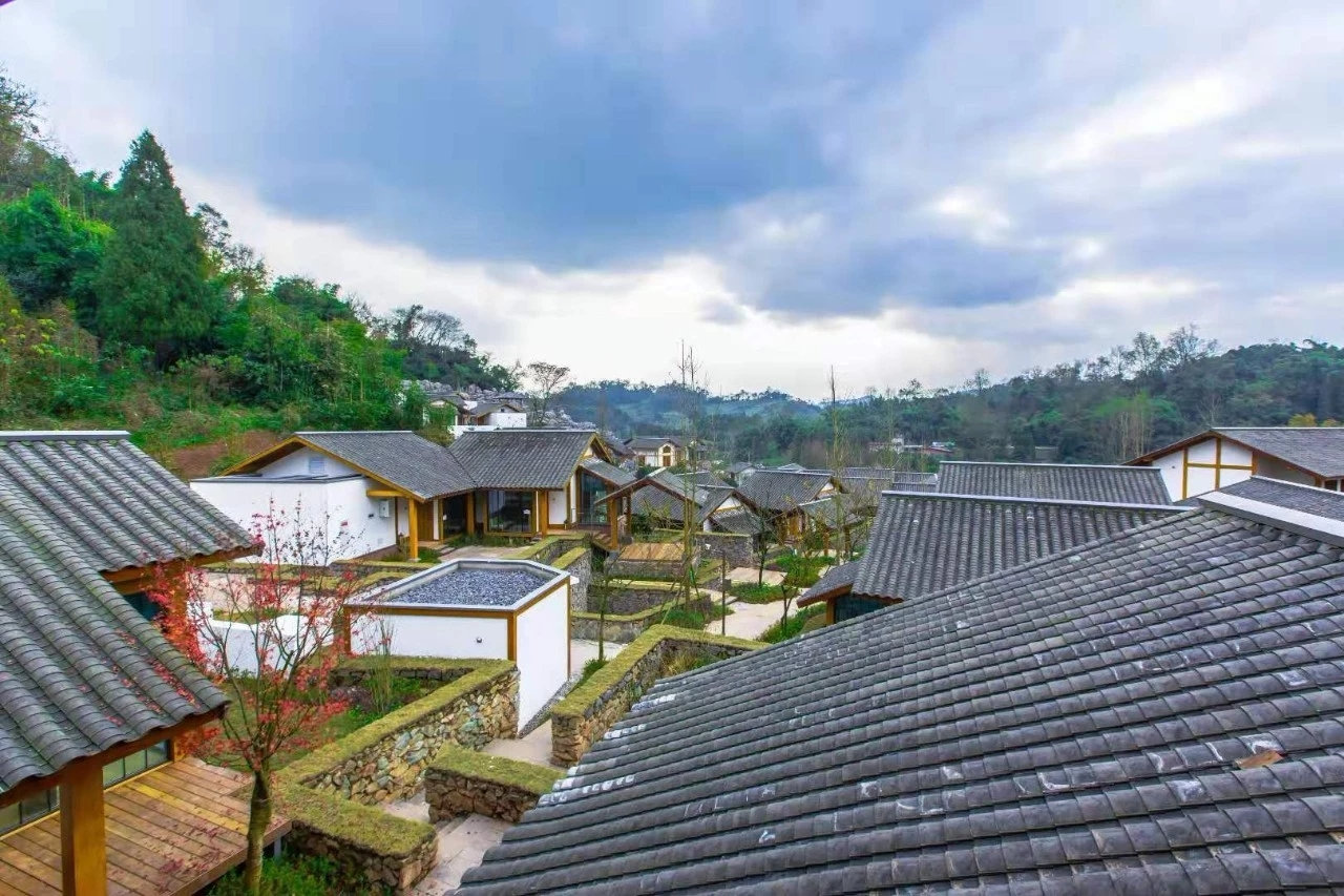 为什么四川的美女比较多,为什么四川美女多