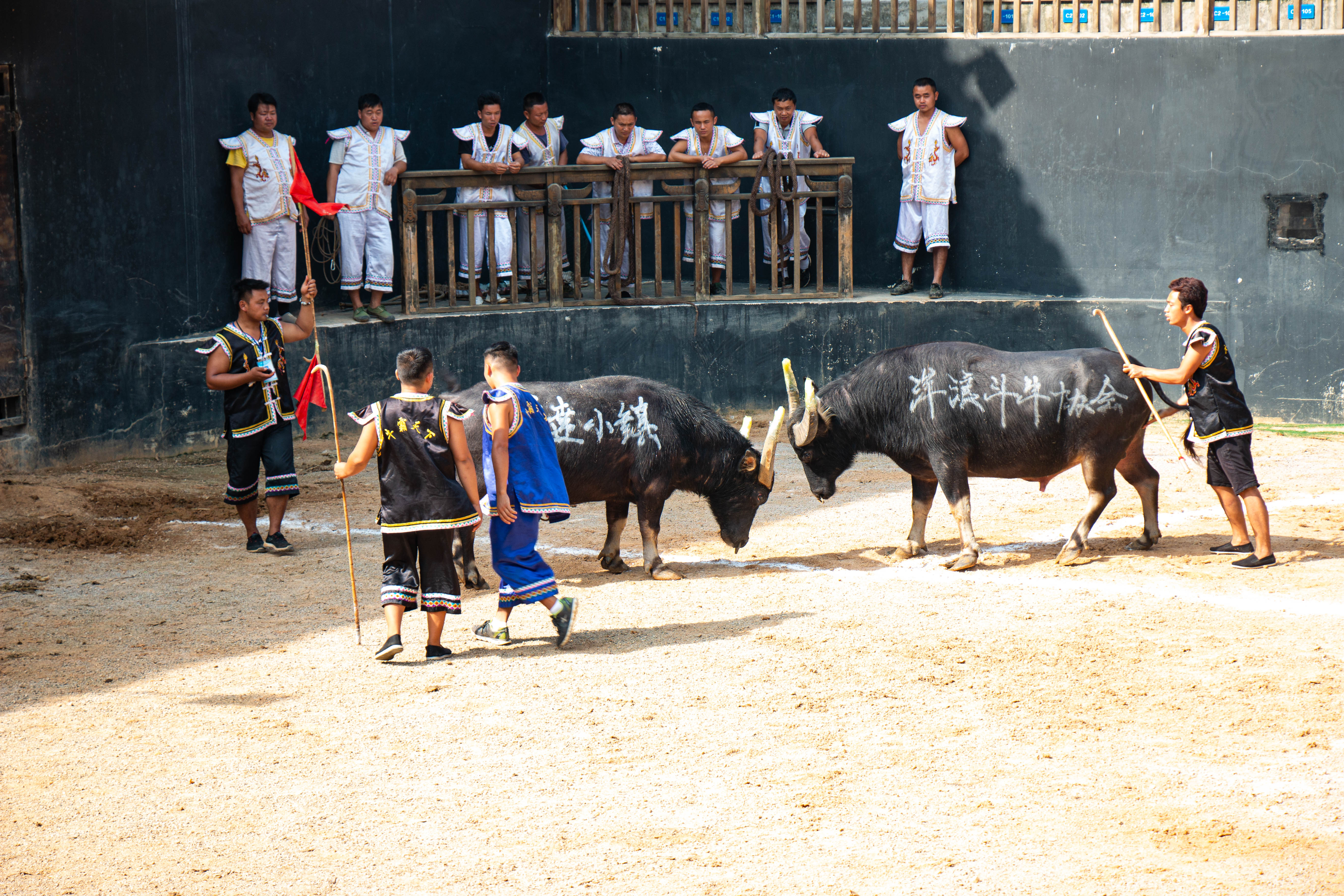 丹寨万达小镇全攻略｜夏天必打卡的小镇之一