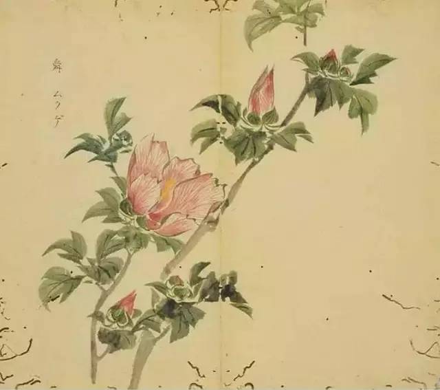 惊艳千年的古诗词合集,五千年来最美的20首诗