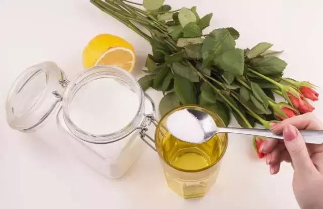 过期的药片丢花盆里花长疯了,家里过期的小药片还可以养植物