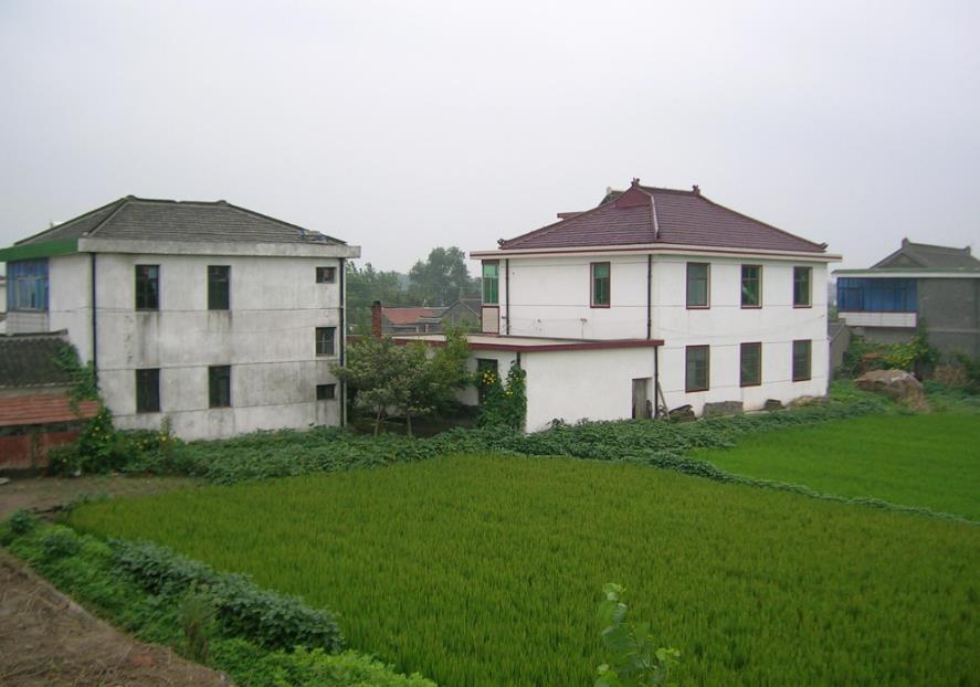 龙长虎短好不好,龙长虎短好还是龙短虎长好