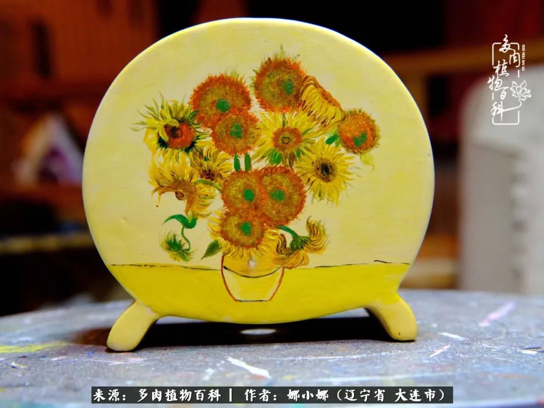 你是盆我是花，你护我周全，我为你绽放