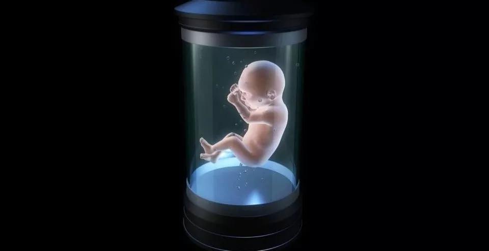 早孕试纸可以观察hcg吗,早孕期超声筛查是免费的吗