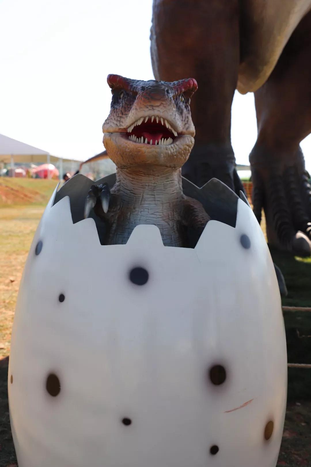 昆明亲子游户外旅行地,昆明周边户外游玩景点推荐带孩子