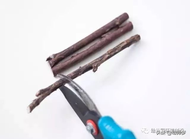 幼儿园走廊田园风环创大气上档次,幼儿园环境布置创意田园风