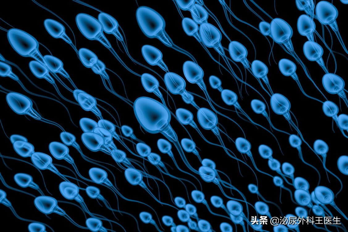 男性一生只能产生多少精子,男性一辈子精子只有4000毫升