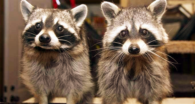 怒晴湘西探险之路,怒晴湘西画面色调像电影