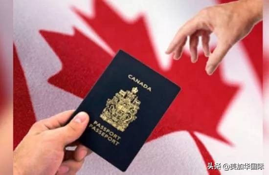 花最少的钱，读世界上最好的学校？看完择校攻略，你也可以