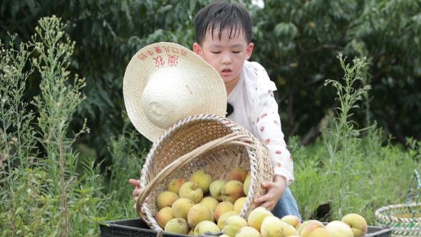 澳牧随知盘中餐,澳牧谁知盘中餐澳牧