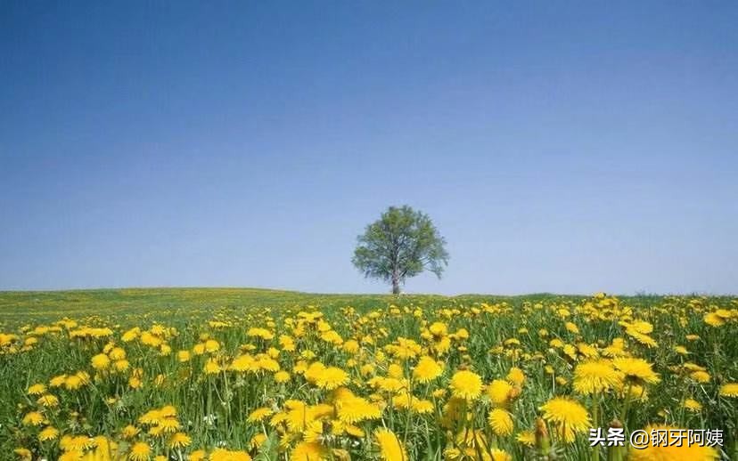 当人穷的时候会明白什么道理,穷到别人看不起时谨记这三句话