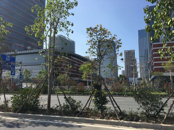 泉州晋江陈埭镇是哪个区,福建晋江陈埭是靠什么发展的