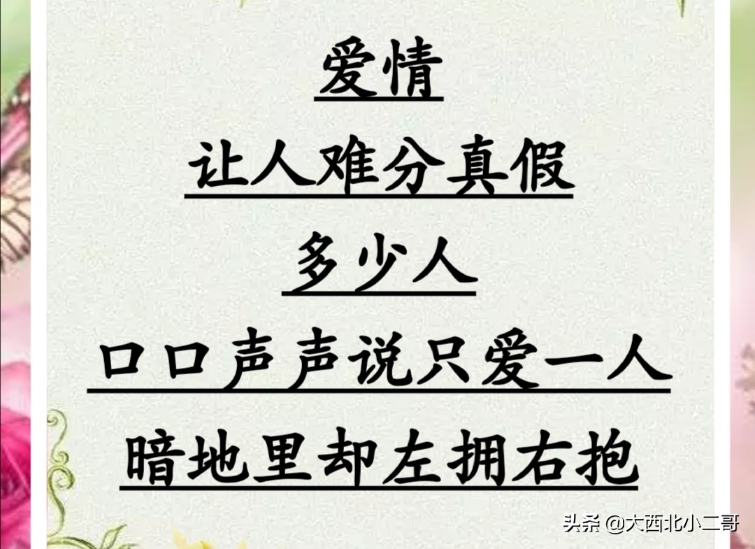 我的生活相册作文,生活相册制作