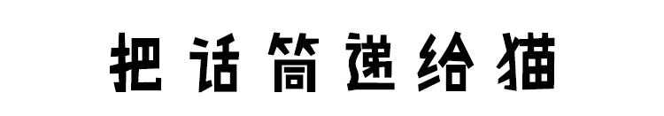 被弃养的猫还要打疫苗吗,弃养了一只猫