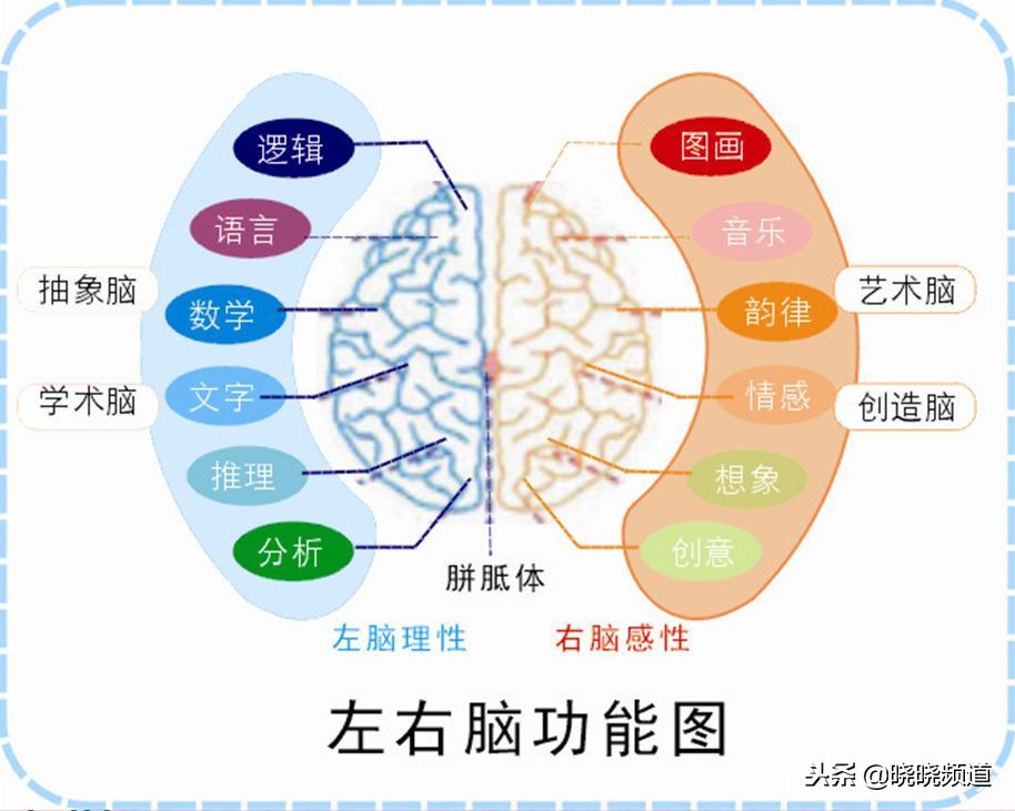右脑开发对学习有帮助吗,右脑思维体验