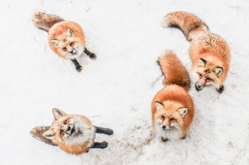 韩国冬季滑雪美景,韩国旅游攻略5-6月天气